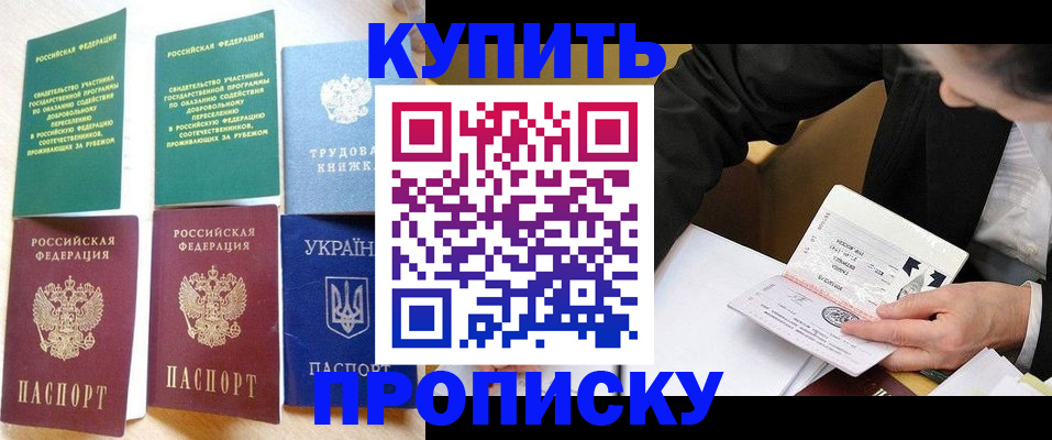 прописка для школы в Александровске